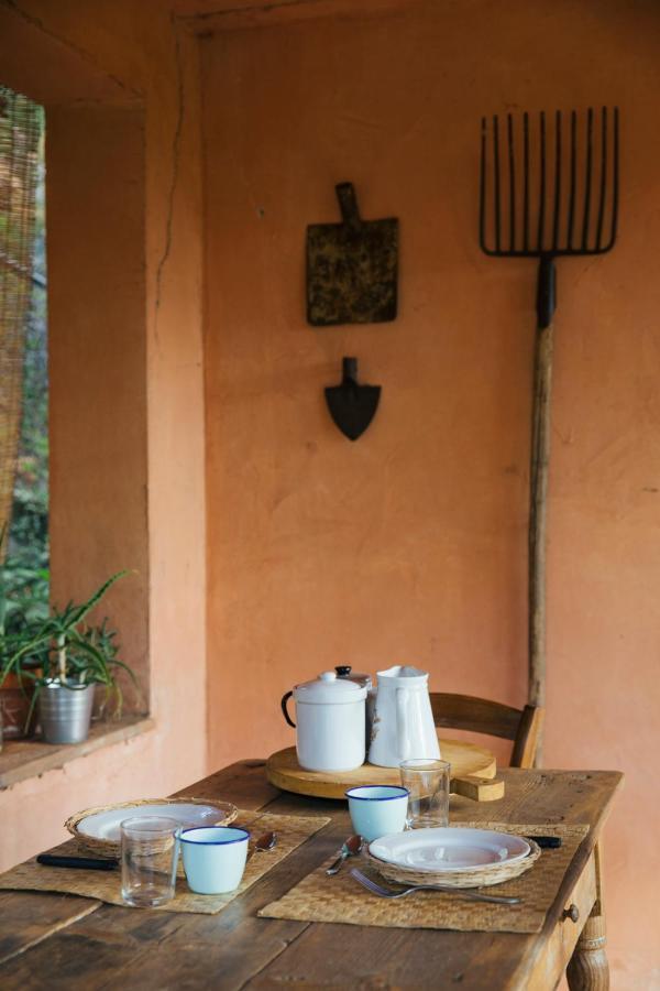 Studio/Flat Rustic Tuscan Marziani 2 Capannori Exterior photo