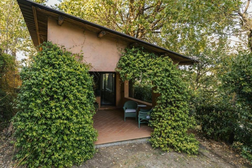 Studio/Flat Rustic Tuscan Marziani 2 Capannori Exterior photo